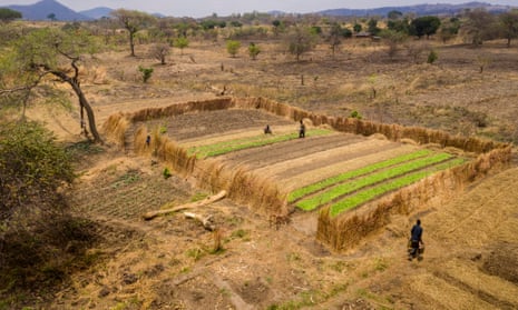 belgium re-exports malawi tobacco | Imports and Exports | World | and manufactured tobacco substitutes | Value (US$) and Value Growth, YoY (%) | 2012 Zimbabwe's tobacco sector is heading