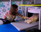 Babies born to anaemic mothers have smaller brains, study finds