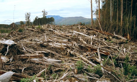 Clear-felling within a few hundred metres of the Meander Valley Forest Reserve in Meander Valley, Tasmania