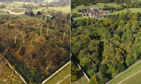 From dead woods to triumph of nature, 30 years after the Great