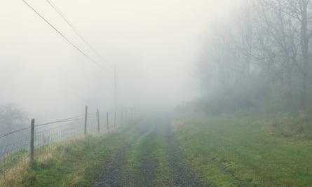 A country path shrouded in fog