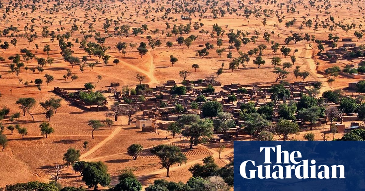 One, two, tree: how AI helped find millions of trees in the Sahara ...