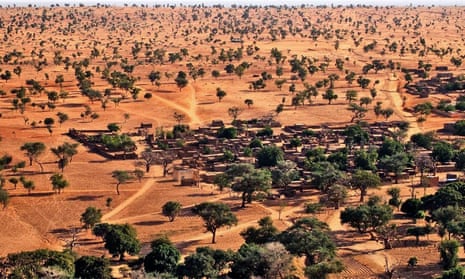 Aerial view of trees in Sahel: ‘Where no one would expect to find many trees, there were quite a few hundred million.’ 