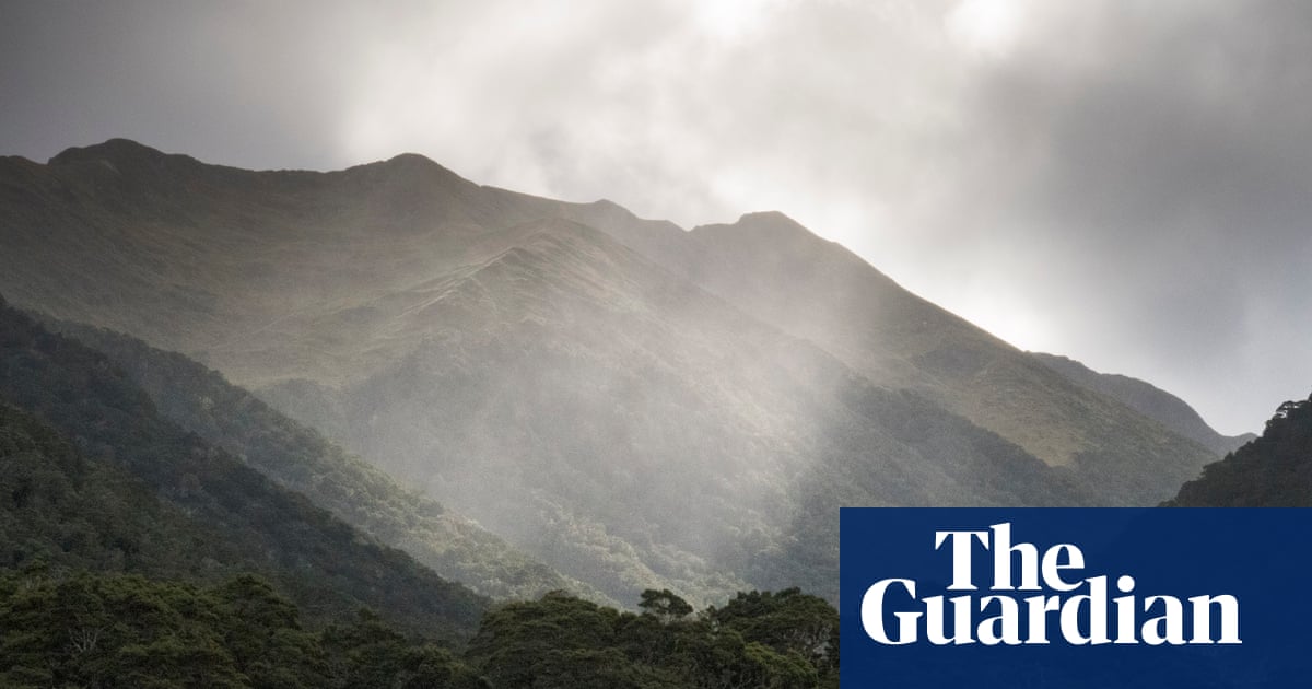 Myth or mystery: are moose roaming the isolated wilds of New Zealand?