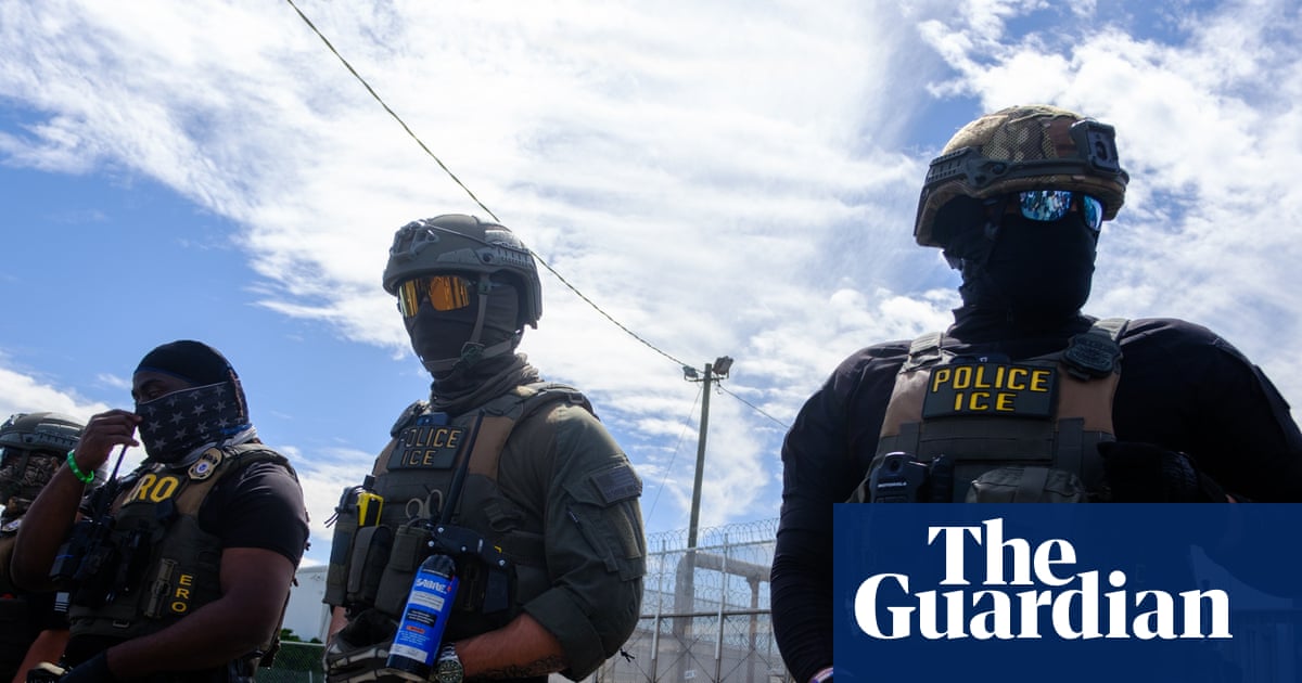 Alarm over $20m plan to supply ICE officers with electric-shock gloves