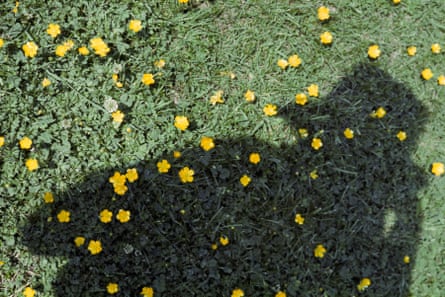 Another self-portrait - Maier’s shadow across a lawn with buttercups, 1975