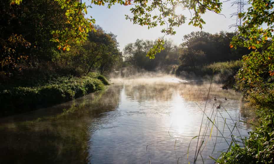 Niebla por la mañana temprano en el río Wandle, Londres.