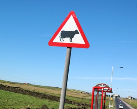 Patience helps drivers beware.