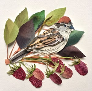 Wild Raspberry Sparrow bird paper artwork by Sarah Suplina