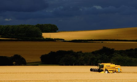 A combine harvester in a field of barley near Salisbury, Wiltshire.