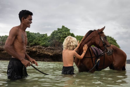 Gerson swimming horses, West Sumba regency, Nusa Tenggara, Indonesia
