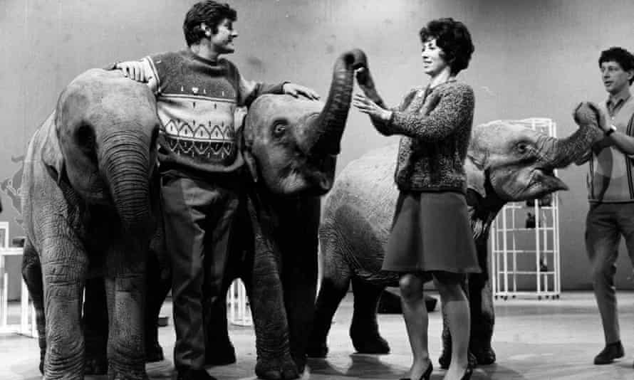 blue peter s daredevil john noakes obituary blue peter the guardian blue peter s daredevil john noakes obituary blue peter the guardian