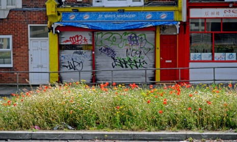 Wild flowers including red poppies and daisies in full bloom on the central reservation on a Brighton road.