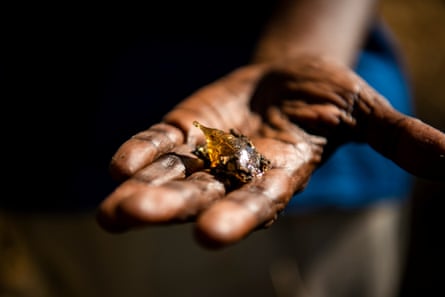 Cette sève sera fondue dans l'eau et utilisée pendant la nuit comme adhésif.