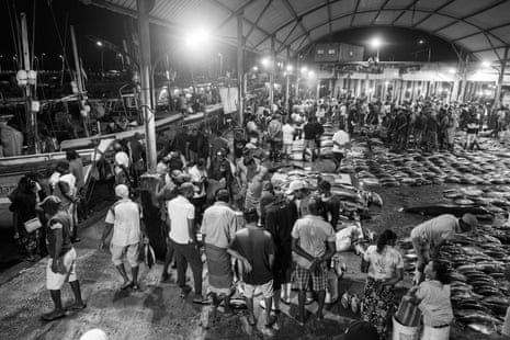 Negombo’s night fish market, where tuna and sailfish remain the most prized offerings