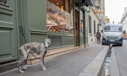 El levantamiento de la prohibición del parque es el primer paso para hacer que París sea más amigable con los perros, dice el vicealcalde Pénélope Komitès.
