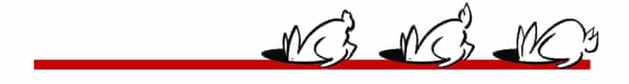 Černobílí kreslení králíci jdoucí do děr v červené čáře
