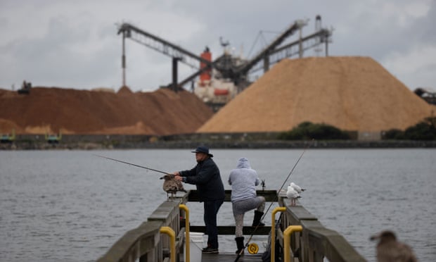 Fishermen on Burnie Jetty set against mountains of woodchips ready for loading at Burnie port in the Tasmanian seat of Braddon.