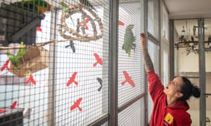 An aviary at Tierheim Berlin