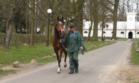 A Janów Podlaski stud staff member leads a horse away.