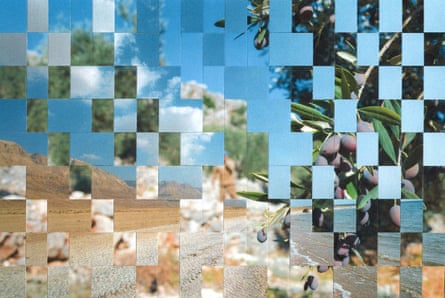 checkered image of a beach interwoven with a picture of a plant with berries or olives