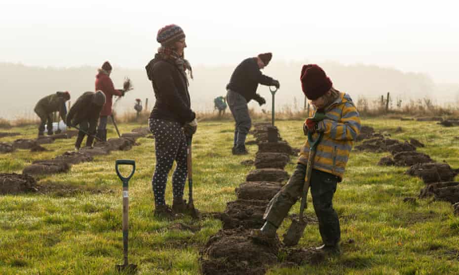 Volunteers help to plant trees for the Woodland Trust.