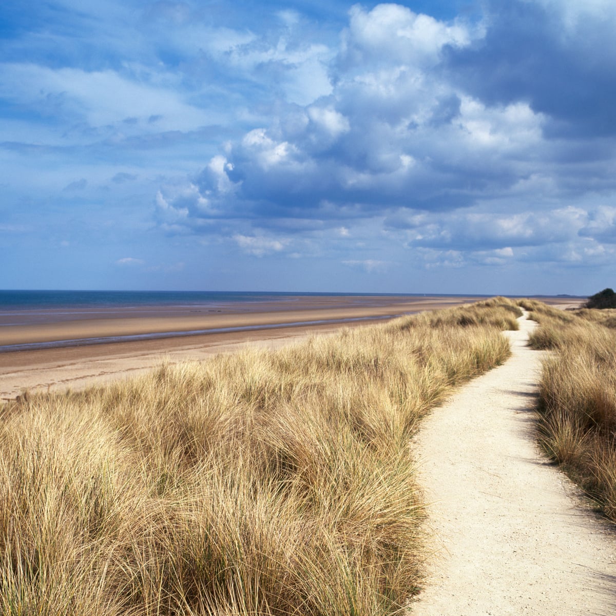 In Praise Of The Norfolk Coast Big Skies Sandy Beaches And Subtle Beauty Norfolk Holidays The Guardian In Praise Of The Norfolk Coast Big Skies Sandy Beaches And Subtle Beauty Norfolk Holidays The Guardian
