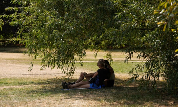 People sitting under a tree