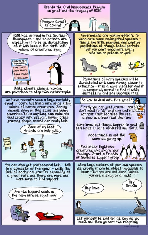 , panel 1