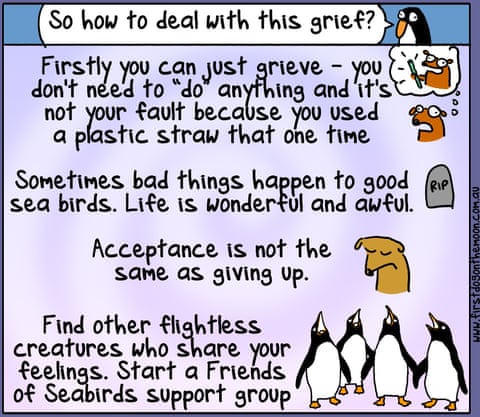 , panel 5