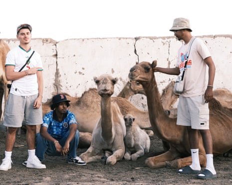 Three young men wearing shorts, T-shirts and hats, standing among some seated camels