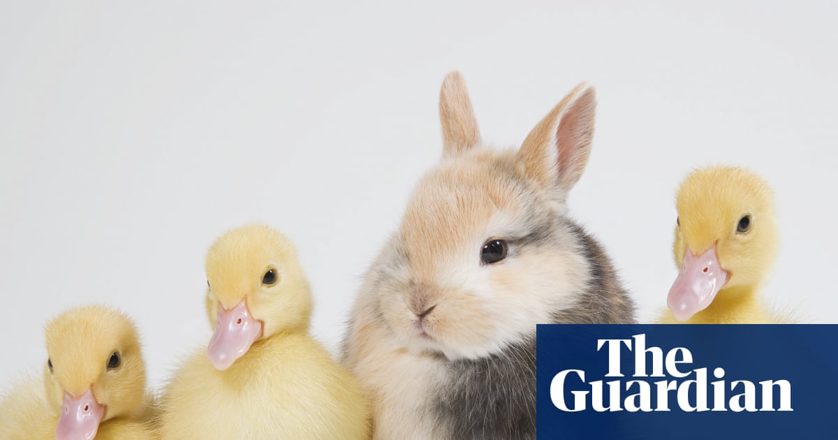 Feeling out of place? How to beat imposter syndrome