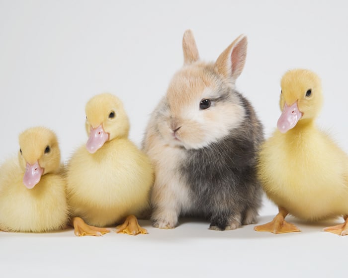 Feeling out of place? How to beat impostor syndrome