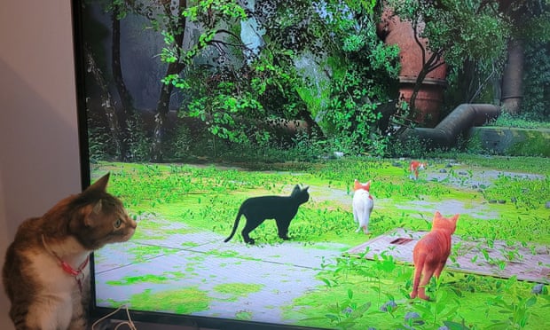 Pressing paws: Stray, the video game that's a hit with cats (and their  humans), Games