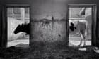 'When your eye, heart and brain are aligned, that's when you take a photo': Pier Luigi Dodi's best phone picture