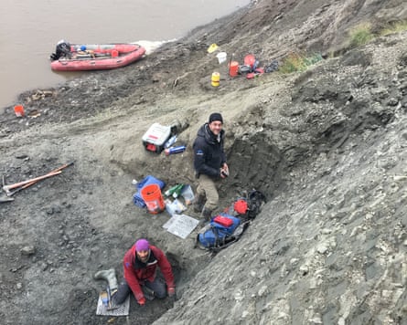 Photo from above of team members excavating fossils from a rocky shore
