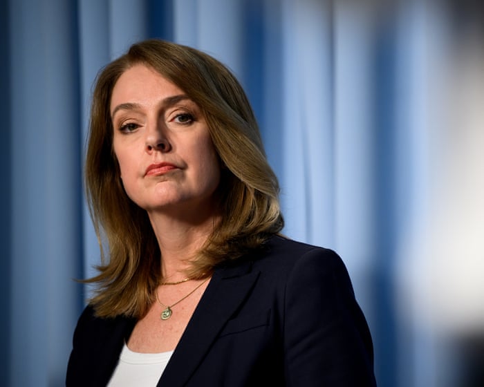 Who is Kellie Sloane, the new NSW Liberal leader – and can this first-term former journalist save the party?