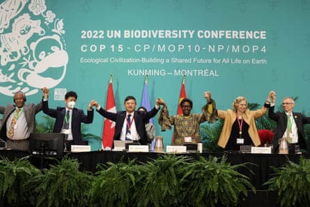 The top table of the Cop15 summit hold hands and raise them to celebrate the passing of the deal on 19 December