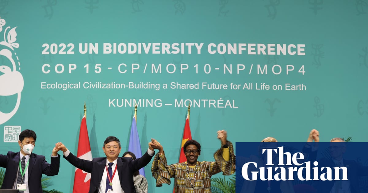 Four years after the promises of Cop15, our biodiversity targets are slipping away