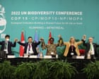 COP15'in vaatlerinden dört yıl sonra biyolojik çeşitlilik hedeflerimiz kayıp gidiyor