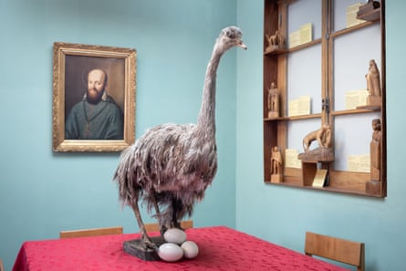 A taxidermy ostrich-like bird with eggs on a display table in a museum