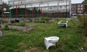 Community garden on a council estate.