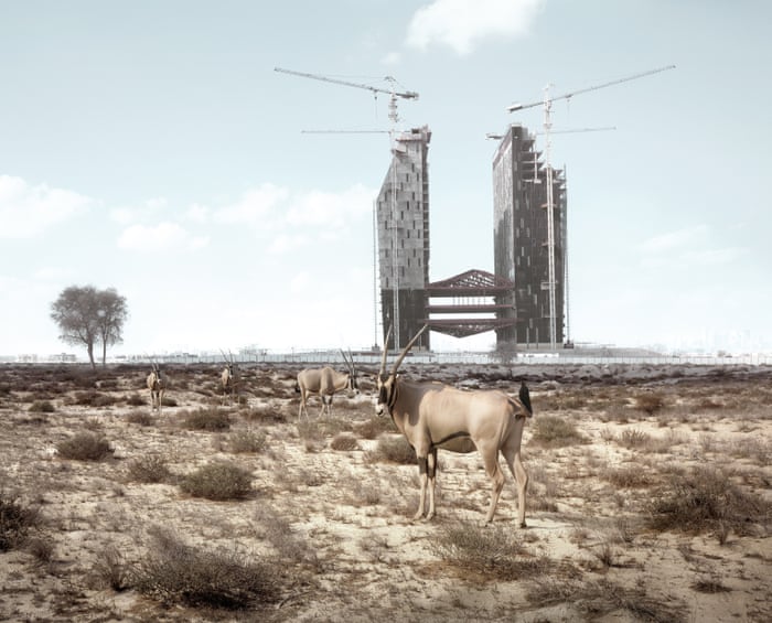 What if zoo animals roam free in Dubai? – in pictures | Art and design |  The Guardian