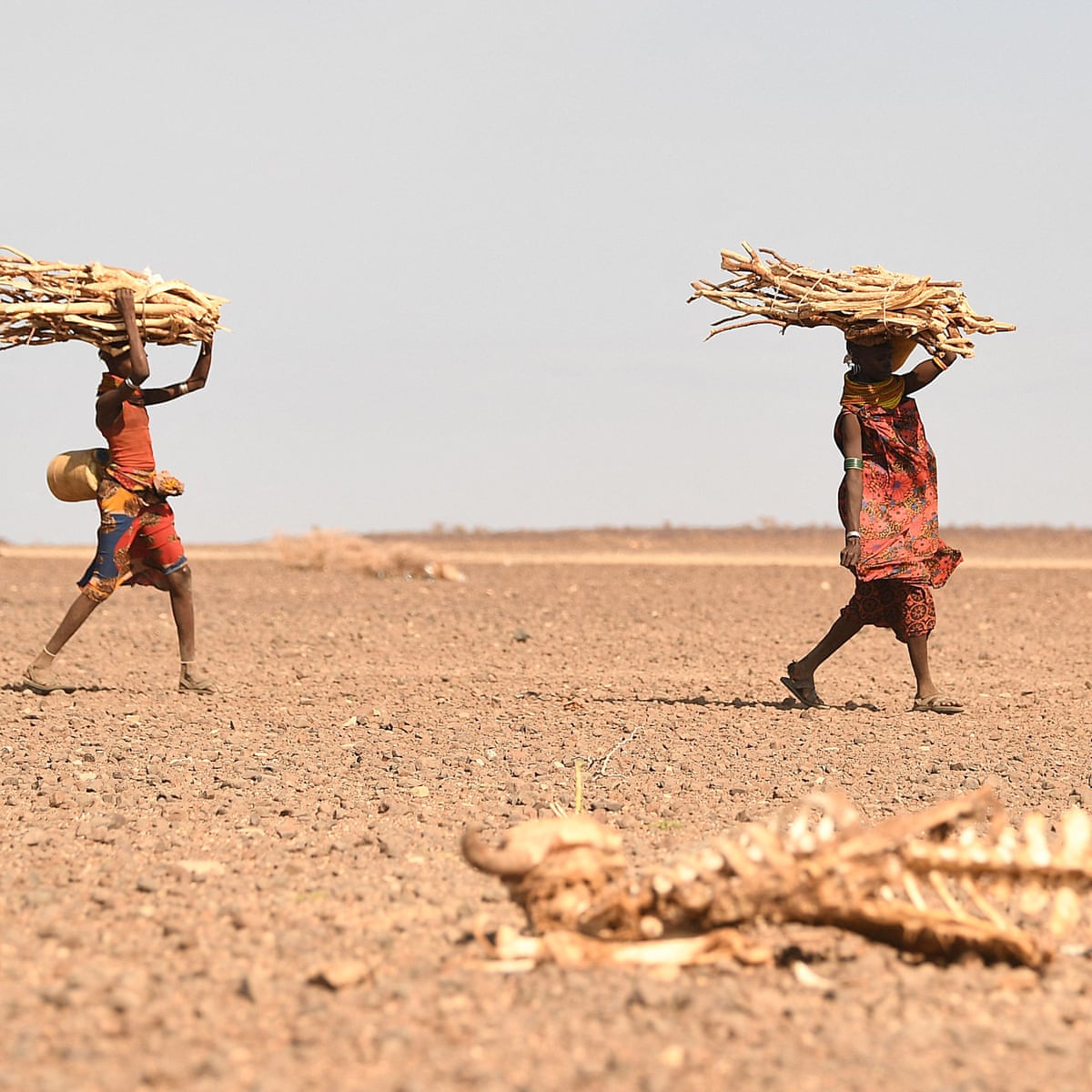 Human-driven climate crisis fuelling Horn of Africa drought ...