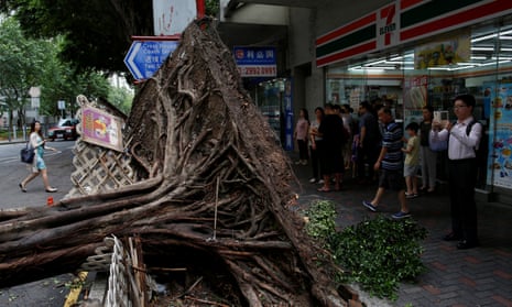 A tree lies uprooted in Hong Kong after Typhoon Nida battered the city on 2 August. 