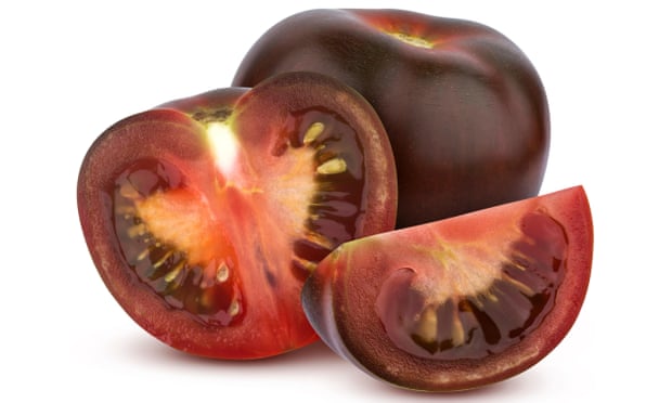 Major toms: black tomatoes, a product of US-Israeli experimentation.
