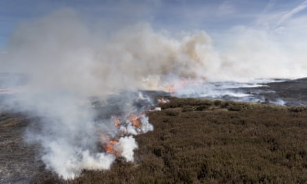 Heather burning on a grouse moor