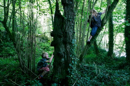 Two children climbing in Cropton Bank Woods, North Yorkshire.