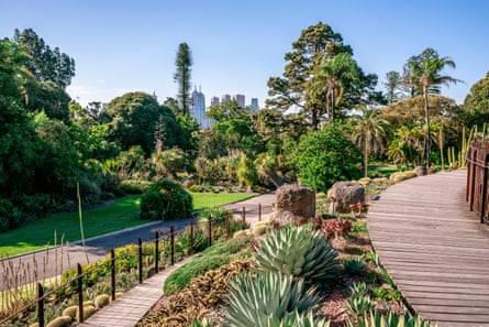 A scenic view of the Royal Botanic Gardens 