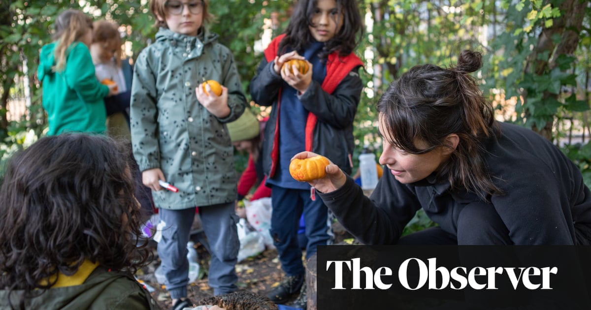 Forest schools flourish as youngsters log off and learn from nature